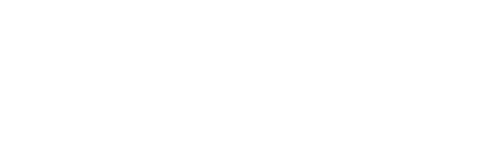 Firestick
